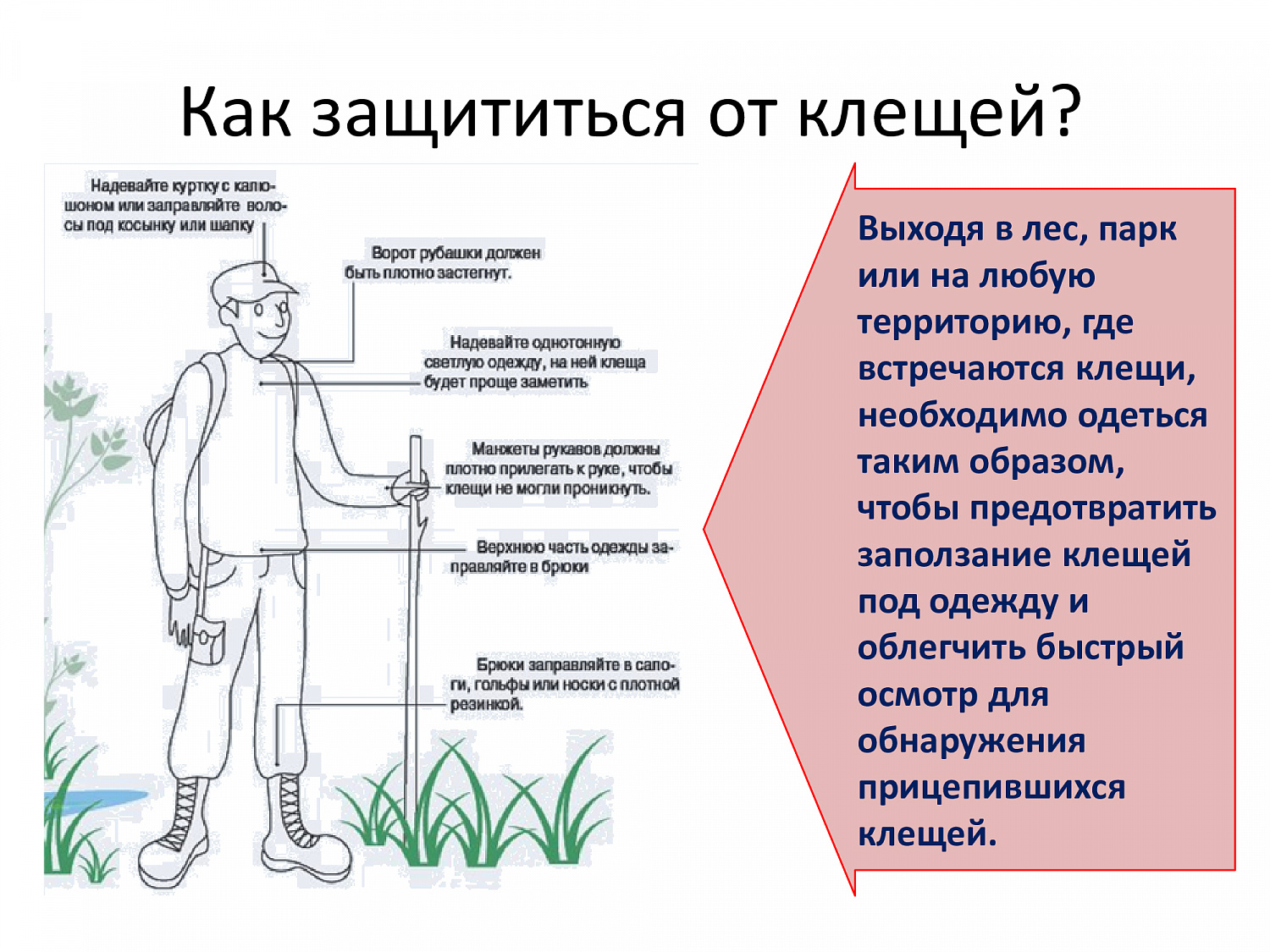 Весна, сезон клещей. Обезопасьте себя!